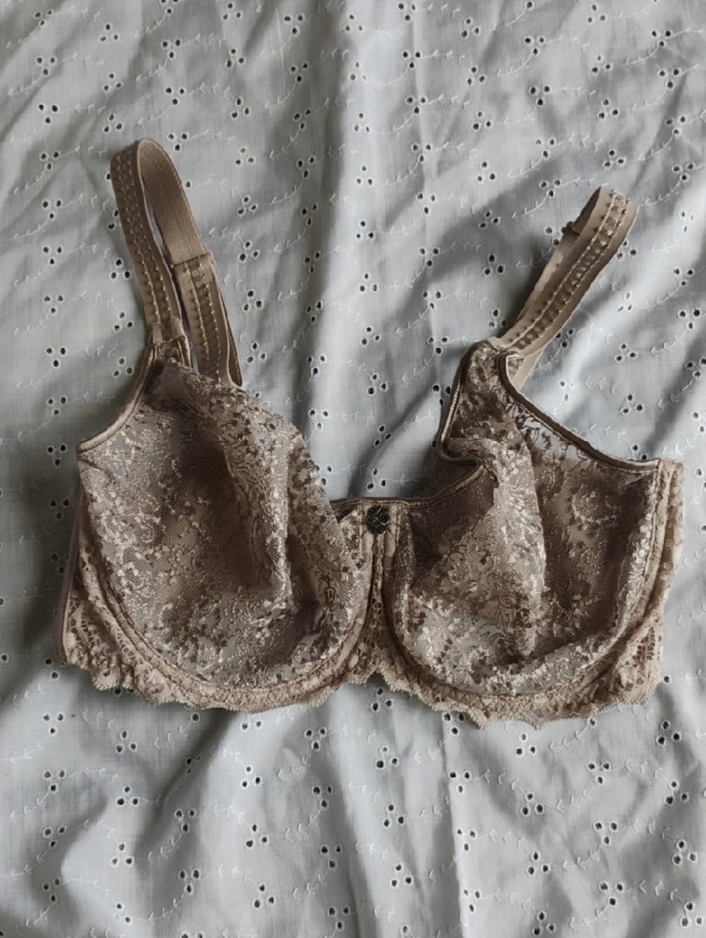EMPREINTE Lace Underwire Bra in Taupe